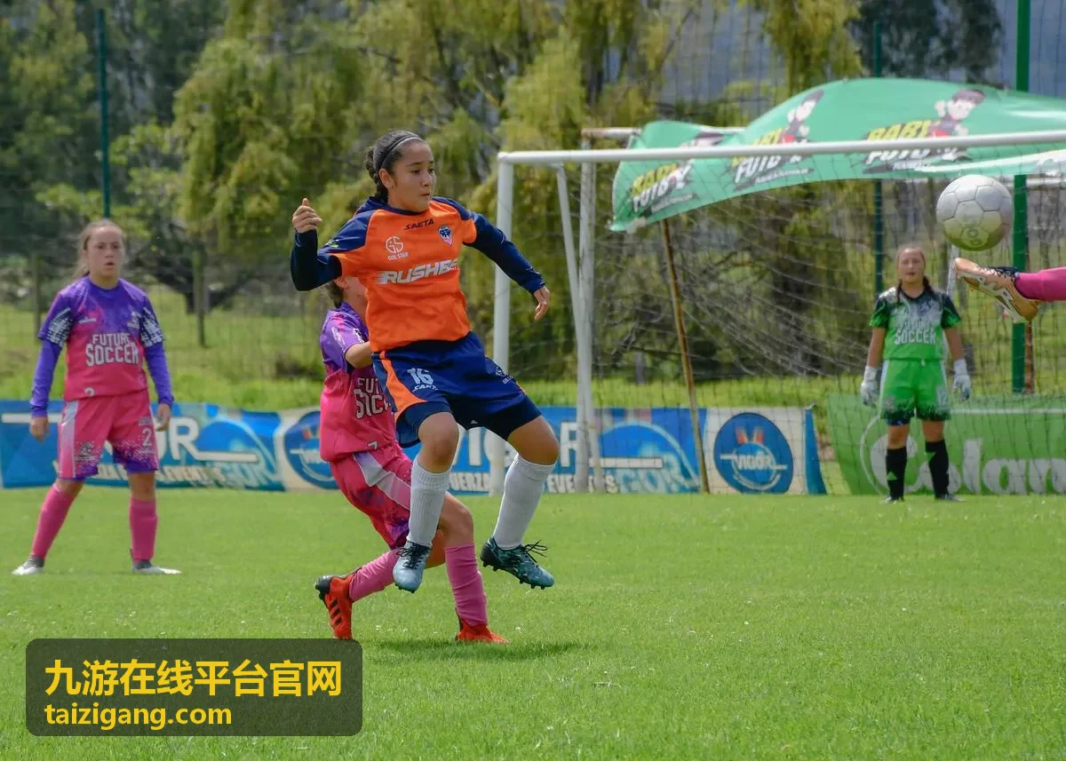 版本更新公告重点提炼内容示意